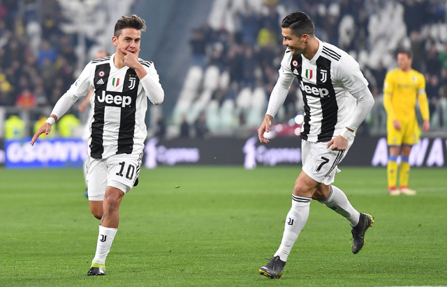 级别胜场完 级别胜场完